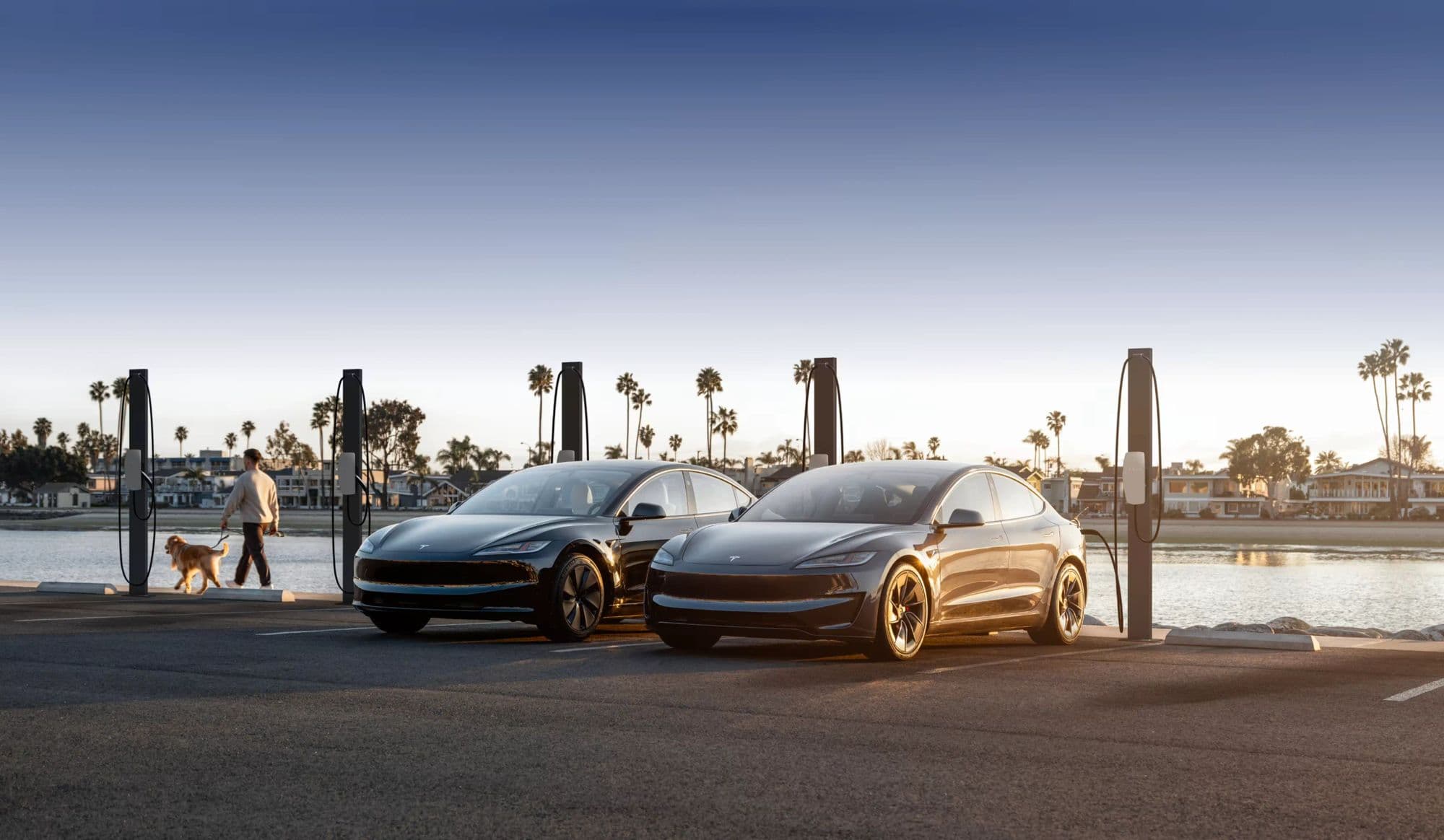 Bornes de recharge pour entreprises